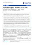 báo cáo khoa học: "Pheochromocytoma presenting as recurrent urinary tract infections : a case report"