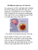 Dễ nhầm lao màng não với viêm não