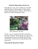 Xông hơi không đúng cách gây hại