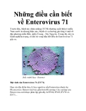 Những điều cần biết về Enterovirus 71
