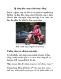 Bịt càng kín càng tránh được nắng? 