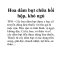 Hoa dâm bụt chữa hồi hộp, khó ngủ