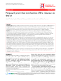 Báo cáo y học: "Proposed protective mechanism of the pancreas in the rat."