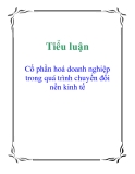 Tiểu luận: Cổ phần hoá doanh nghiệp trong quá trình chuyển đổi nền kinh tế