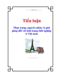 Tiểu luận: Thực trạng, nguyên nhân và giải pháp đối với tình trạng thất nghiệp ở Việt nam