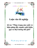 Đề tài tốt nghiệp: Thực trạng sản xuất và biện pháp đẩy mạnh xuất khẩu gạo ra thị trường thế giới