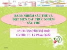 Giáo án điện tử môn sinh học:Sinh học lớp 12- Bài tập