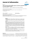Báo cáo y học: "The role of mast cells and fibre type in ischaemia reperfusion injury of murine skeletal muscles"