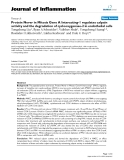 Báo cáo y học: "Protein Never in Mitosis Gene A Interacting-1 regulates calpain activity and the degradation of cyclooxygenase-2 in endothelial cells"