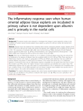 Báo cáo y học: " The inflammatory response seen when human omental adipose tissue explants are incubated in primary culture is not dependent upon albumin and is primarily in the nonfat cells"