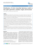 báo cáo khoa học: " Distribution of short interstitial telomere motifs in two plant genomes: putative origin and function"