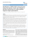 báo cáo khoa học: " Identification of differentially expressed genes induced by Bamboo mosaic virus infection in Nicotiana benthamiana by cDNA-amplified fragment length polymorphism"