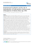 báo cáo khoa học: " Developmental localization and the role of hydroxyproline rich glycoproteins during somatic embryogenesis of banana (Musa spp. AAA)"