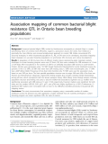 báo cáo khoa học: "  Association mapping of common bacterial blight resistance QTL in Ontario bean breeding populations"