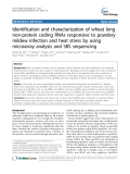 báo cáo khoa học: "  Identification and characterization of wheat long non-protein coding RNAs responsive to powdery mildew infection and heat stress by using microarray analysis and SBS sequencing"