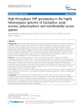 báo cáo khoa học: " High-throughput SNP genotyping in the highly heterozygous genome of Eucalyptus: assay success, polymorphism and transferability across species"