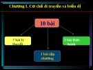 Giáo án điện tử sinh học:Sinh học lớp 12- Bài giảng sinh học 12 phần 3