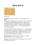 Bạch giới tử