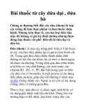 Bài thuốc từ cây dứa dại , dứa bà