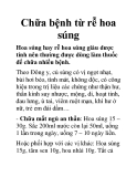 Chữa bệnh từ rễ hoa súng