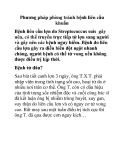 Phương pháp phòng tránh bệnh liên cầu khuẩn 