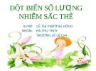 Giáo án điện tử môn sinh học: Sinh học lớp 12- Bài giảng đột biến số lượng nhiễm sắc thể