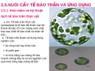Giáo án điện tử sinh học: Sinh học lớp 12-2.5.NUÔI CẤY TẾ BÀO TRẦN VÀ ỨNG DỤNG
