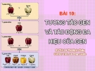 Giáo án điện tử sinh học: Sinh học lớp 12-Tương tác Gen và tác động của Gen