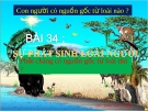 Giáo án điện tử sinh học: Sinh học lớp 12-Sự phát sinh của loài người(phải chăng phát sinh từ loài khỉ)