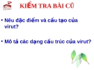 Giáo án điện tử sinh học: Sinh học 12-SỰ NHÂN LÊN CỦA VIRUT TRONG TẾ BÀO VẬT CHỦ