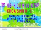 Giáo án điện tử sinh học: Sinh học 12-Nguyên Phân