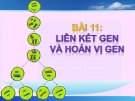 Giáo án điện tử sinh học: Sinh học 12-Thi giáo viên giỏi-Liên kết và hoán vị Gen