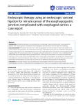 Báo cáo y học: "Endoscopic therapy using an endoscopic variceal ligation for minute cancer of the esophagogastric junction complicated with esophageal varices: a case report"