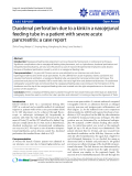 Báo cáo y học: "Duodenal perforation due to a kink in a nasojejunal feeding tube in a patient with severe acute pancreatitis: a case report"