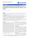 Báo cáo y học: "Compressive stenosis of the left hepatic vein as a pathogenesis of postresectional liver failure: a case report"