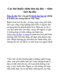 Các bài thuốc chữa đau dạ dày – viêm loét dạ dày