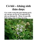 Cỏ hôi – kháng sinh thảo dược