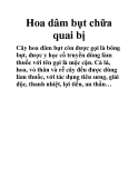 Hoa dâm bụt chữa quai bị