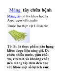 Măng tây chữa bệnh