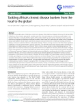 báo cáo khoa học: "Tackling Africa's chronic disease burden: from the local to the global"