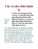 Cây cỏ sữa chữa bệnh lỵ