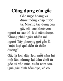 Công dụng của gấc