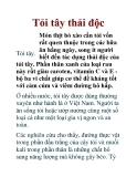 Tỏi tây thải độc