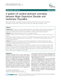 Báo cáo y học: " A pattern of cerebral perfusion anomalies between Major Depressive Disorder and Hashimoto Thyroiditis"