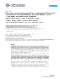 Báo cáo y học: "Pancreatic and psoas abscesses as a late complication of intravesical administration of bacillus Calmette-Guerin for bladder cancer: a case report and review of the literature"