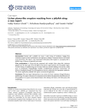 Báo cáo y học: "Lichen planus-like eruption resulting from a jellyfish sting: a case report"
