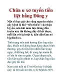Chữa u xơ tuyến tiền liệt bằng Đông y