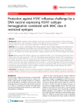Báo cáo y học: " Protection against H1N1 influenza challenge by a DNA vaccine expressing H3/H1 subtype hemagglutinin combined with MHC class IIrestricted epitopes"