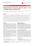 Báo cáo y học: " Rapid detection of porcine circovirus type 2 using a TaqMan-based real-time PCR"