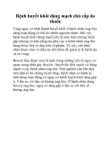 Bệnh huyết khối động mạch chủ cấp do thuốc